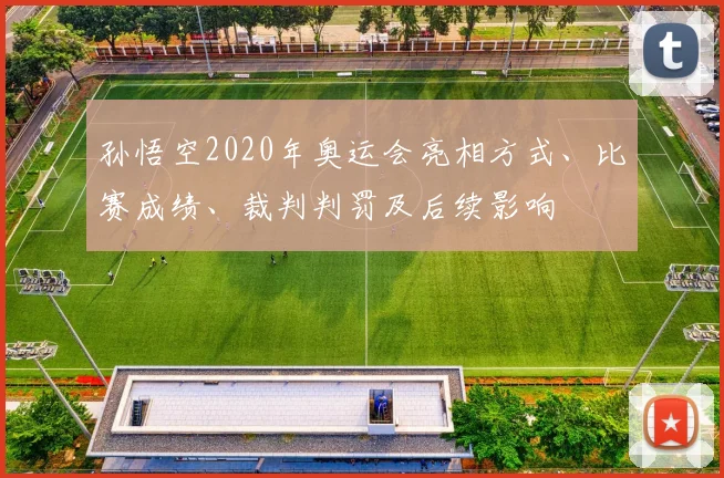 孙悟空2020年奥运会亮相方式、比赛成绩、裁判判罚及后续影响