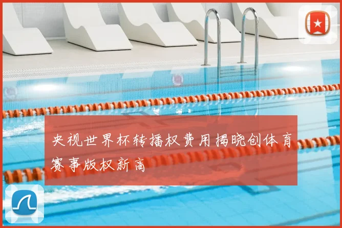 央视世界杯转播权费用揭晓创体育赛事版权新高