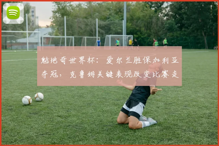 魁地奇世界杯:爱尔兰胜保加利亚夺冠,克鲁姆关键表现改变比赛走势