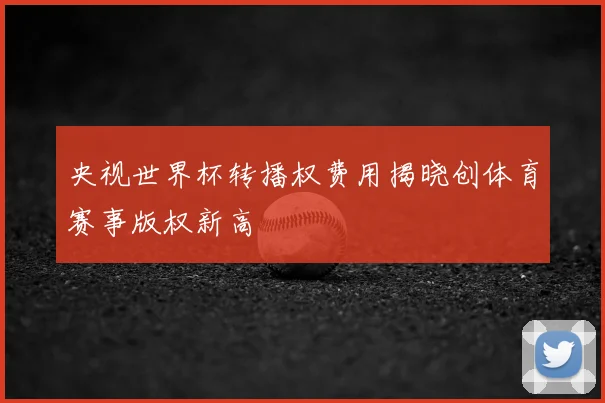 央视世界杯转播权费用揭晓创体育赛事版权新高