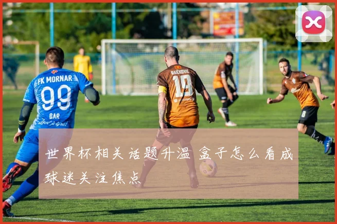 世界杯相关话题升温 盒子怎么看成球迷关注焦点