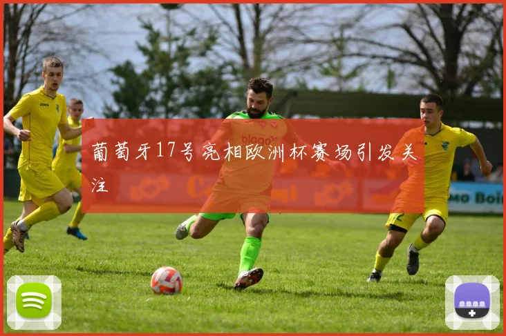 葡萄牙17号亮相欧洲杯赛场引发关注